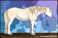 Horse Color:Buckskin Pearl Splash Frame 