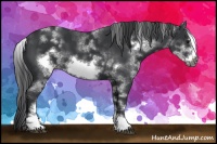 Horse Color:White Spotted Black Frame 