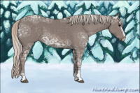 Horse Color:Silver Black Ice Sabino 