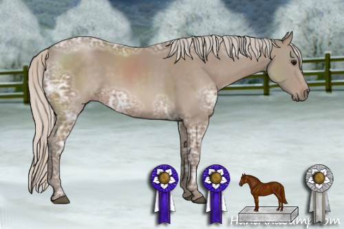 Horse Color: Unknown 