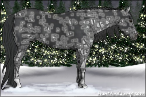 Horse Color: Black Ice 