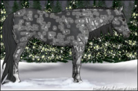 Horse Color:Black Ice