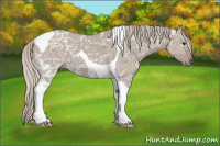 Horse Color:Silver Grullo Ice Tobiano