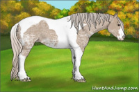 Horse Color:Silver Grullo Ice Sabino Tobiano