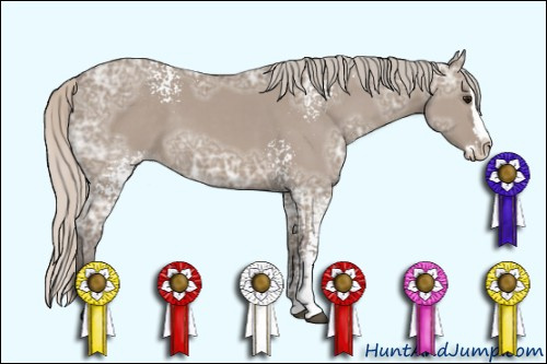 Horse Color: White Spotted Silver Grullo Ice Sabino Splash 
