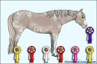 Horse Color:White Spotted Silver Grullo Ice Sabino Splash 