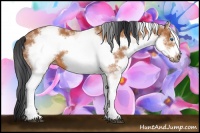 Horse Color:White Spotted Bay Frame 