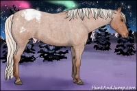 Horse Color:Silver Bay Roan Varnish 