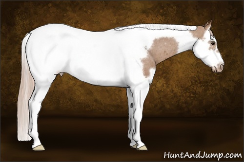 Horse Color: Chestnut Splash Tobiano Frame Blanket 