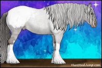 Horse Color:Liver Chestnut Appaloosa