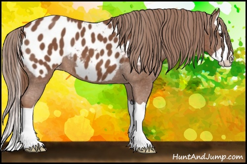 Horse Color: Chestnut Splash Blanket 