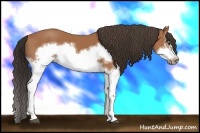 Horse Color:Bay Splash Frame 