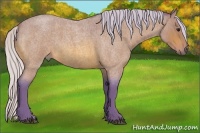 Horse Color:Watercolor Silver Bay Roan 