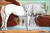 Horse Color:Gold Cream Champagne Frame Appaloosa 