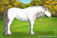 Horse Color:Black Ice Pearl Tobiano Frame 