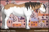 Horse Color:Bay Splash Frame 
