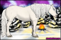 Horse Color:Cremello Dun Splash  Brindle