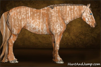 Horse Color:Cremello Splash Brindle