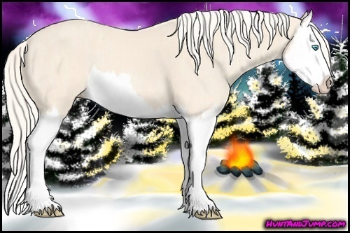 Horse Color: Cremello Splash  Brindle