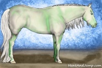 Horse Color:Cremello Splash  Brindle