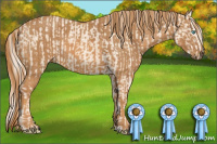 Horse Color:Cremello Splash Brindle