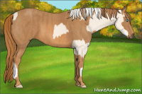 Horse Color:Cremello Splash Brindle
