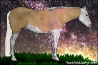 Horse Color:Palomino Splash  Brindle