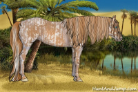 Horse Color:Cremello Splash Brindle