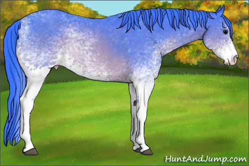 Horse Color: Watercolor White Spotted Brown 