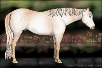 Horse Color:Gray Cremello Splash Brindle