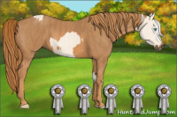 Horse Color:Cremello Splash Brindle
