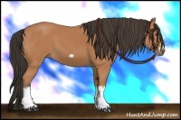 Horse Color:Bay Splash Frame