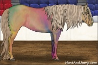 Horse Color:Red Dun Splash Brindle