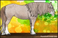 Horse Color:Chestnut Splash Varnish 