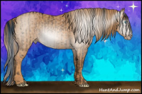 Horse Color:ERROR: UNKNOWN ANOMALY Brindle