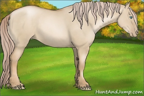 Horse Color: Chocolate Palomino Pearl Dun 