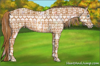 Horse Color:Nacre Cremello Splash  Brindle
