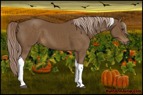 Horse Color: Chocolate Palomino Tobiano 