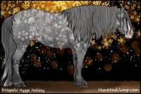 Horse Color:Black Splash Appaloosa 