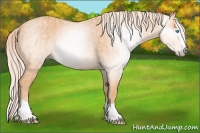 Horse Color:Gray Cremello Splash  Brindle