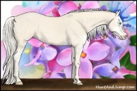 Horse Color:Cremello Splash  Brindle