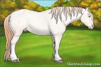 Horse Color:Buckskin Pearl Dun Tobiano Varnish Rabicano 