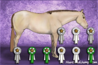 Horse Color:Grullo Pearl 