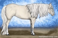 Horse Color:Cremello Splash  Brindle