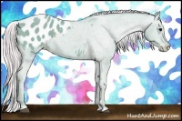 Horse Color:Watercolor Silver Smoky Black Appaloosa