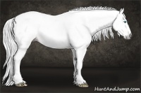 Horse Color:Gray Cremello Splash  Brindle