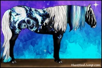 Horse Color:ERROR: UNKNOWN ANOMALY Brindle