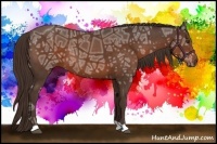 Horse Color:Liver Chestnut Ice 