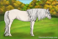 Horse Color:Cremello Splash Brindle