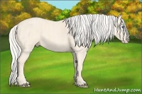 Horse Color:Cremello Splash Brindle